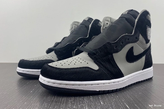 DZ2523-001 Jordan Twist OG 166 Retro (W) Bold 2.0 1 High 1005